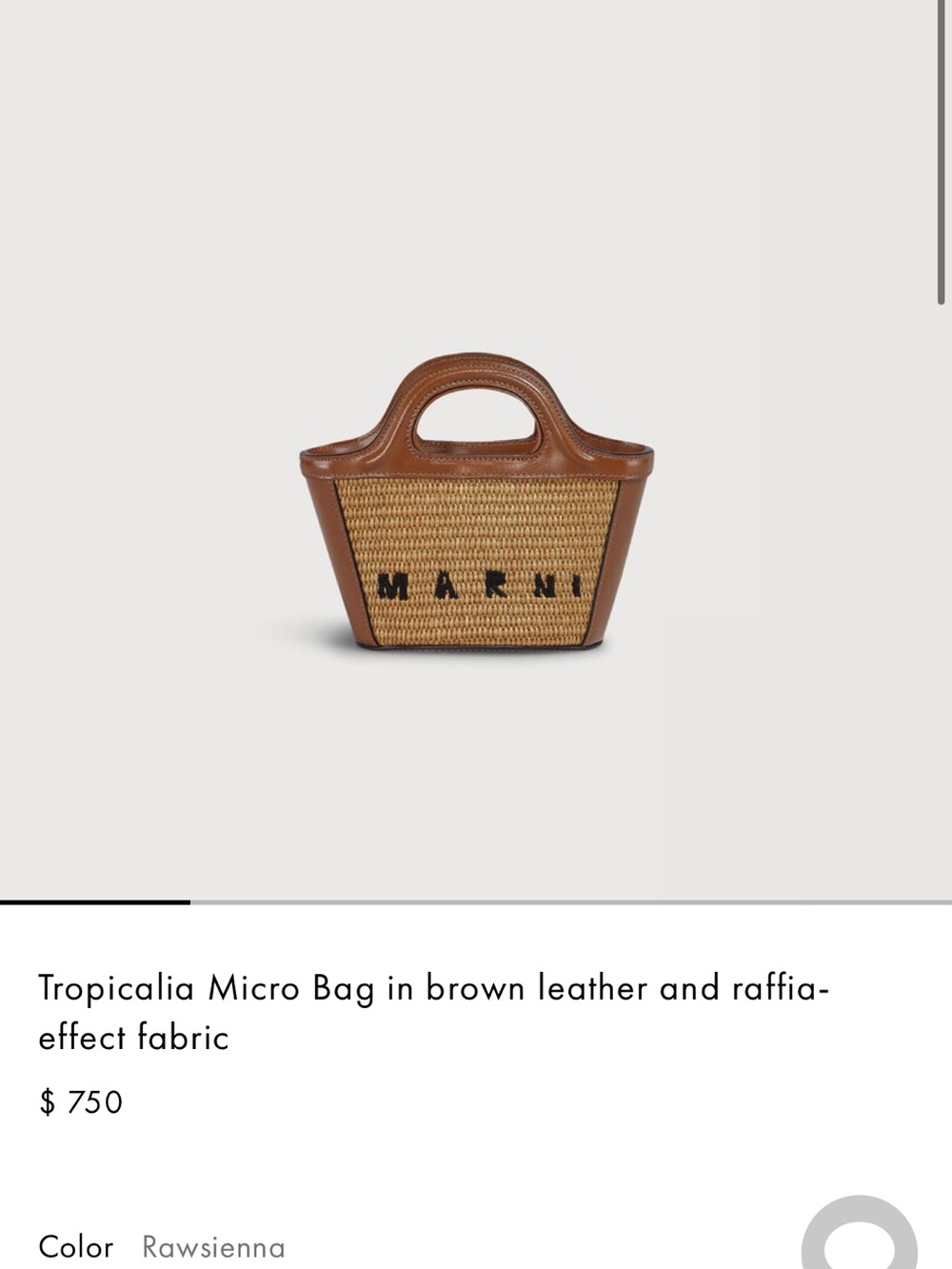 Marni Brown Leather and Raffia Mini Tote